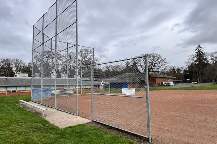 Baseball/Softball Field Grass
