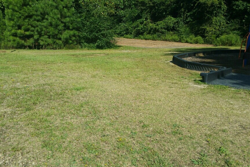 Field#2