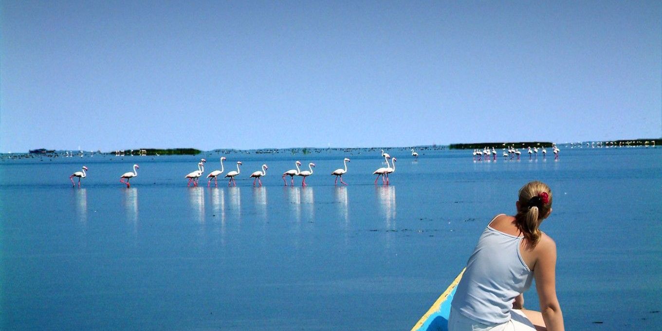 7-Day Tour of Coastal Odisha