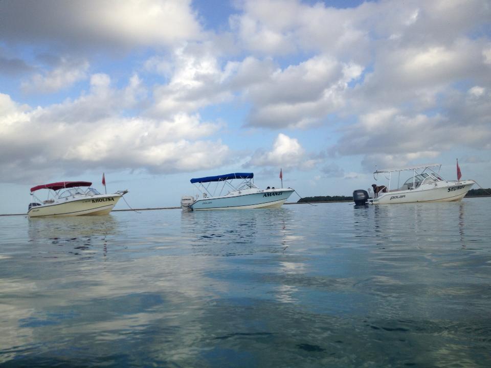 Vitamin Sea Private Charter, half-day photo 1