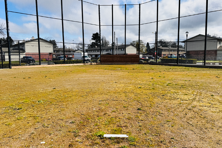 Baseball Field Grass