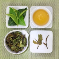 Red Jade T-18 White Tea, Lot 643 from Taiwan Tea Crafts
