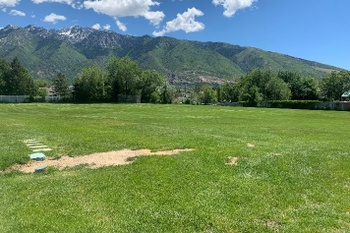 Fields