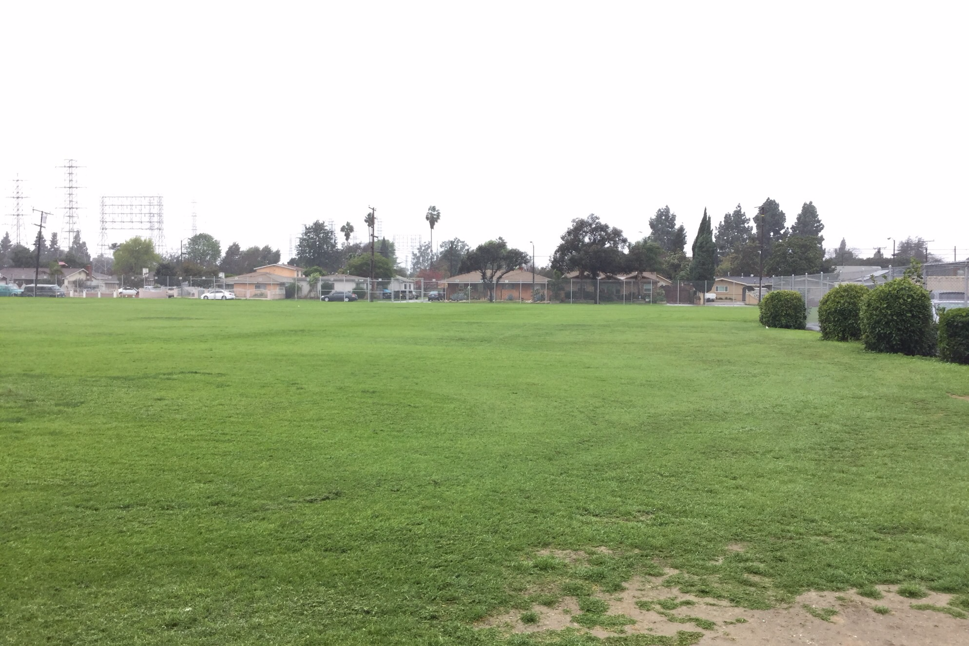 Field-West