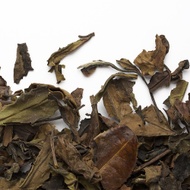Shou Mei 2013 from Camellia Sinensis