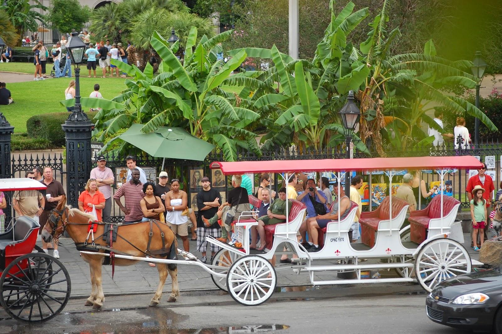Garden District Walking Tour: Discover New Orleans’ American Sector History on Foot - New Orleans