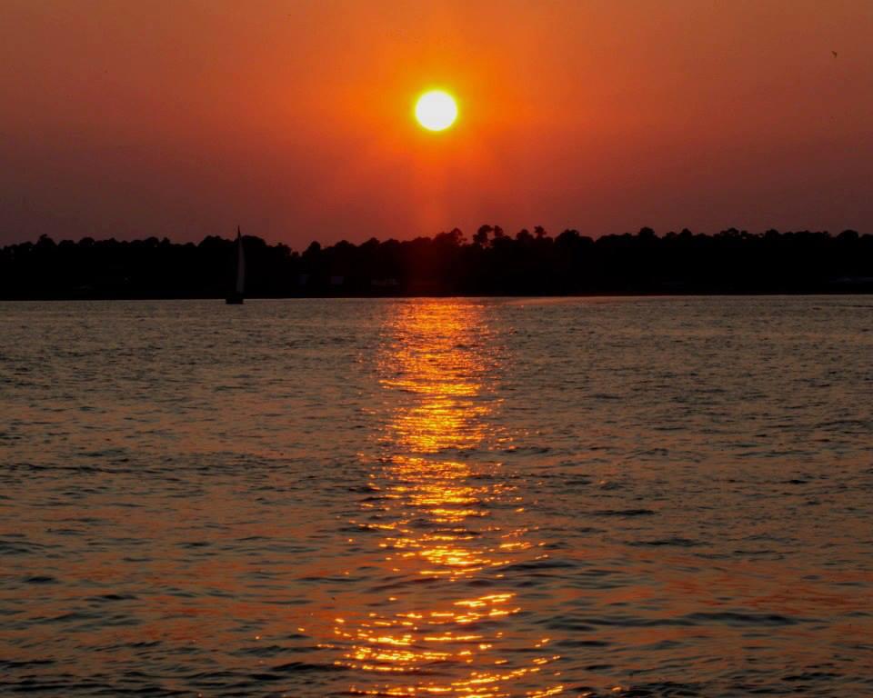 Water Activities: Sunset Cruise with Blue Dolphin Cruises in Pensacola - Pensacola