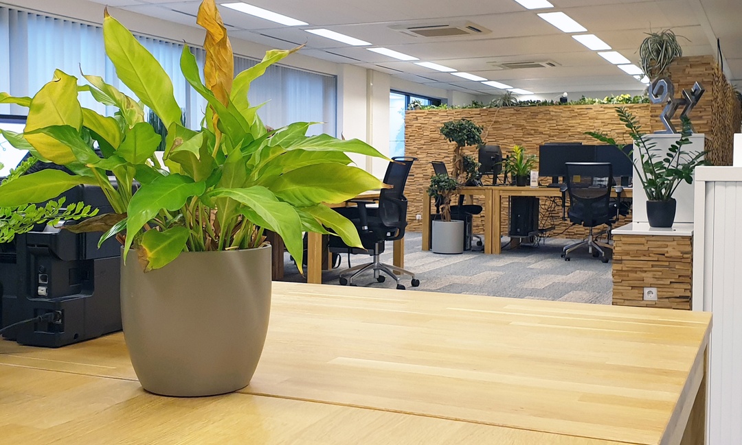 Office photo