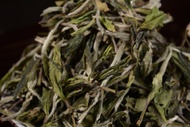 Fuding "White Peony" Bai Mu Dan from Yunnan Sourcing