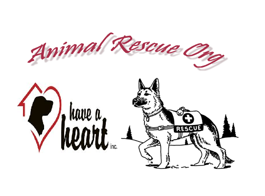 AnimalRescueOrg logo