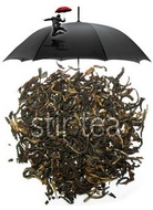 Fortify from Stir Tea