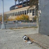 Spay Neuter Intervention Project SNIP logo