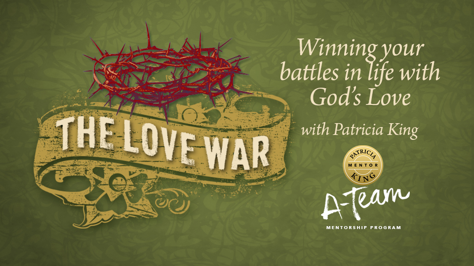 Product image for The Love War