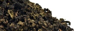 Organic Charcoal-baked Anxi Tie Guan Yin Oolong from Teavivre
