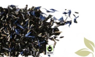 Violet Femme from Zhi Tea