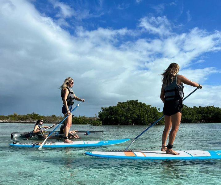 Paddle Board Tours