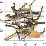ZJ81: Yin-Hao Special Grade Jasmine from Upton Tea Imports