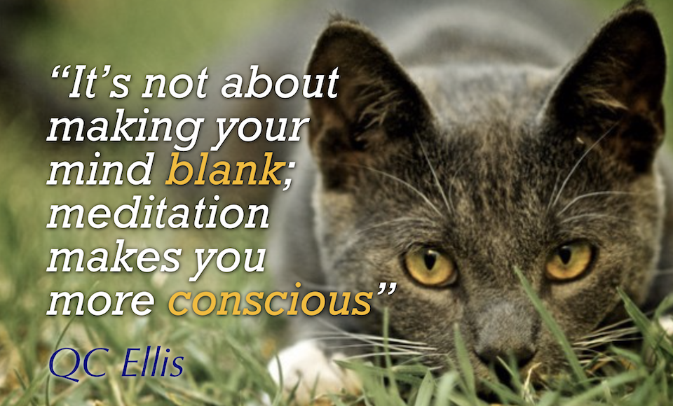 photo of alert cat with a quote by QC Ellis, “It’s not about making your mind blank; meditation makes you more conscious