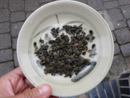 1989 Winter Jia Yi County High Altitude Tea Competition (2nd) from The Essence of Tea