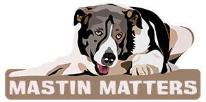 Mastin Matters logo