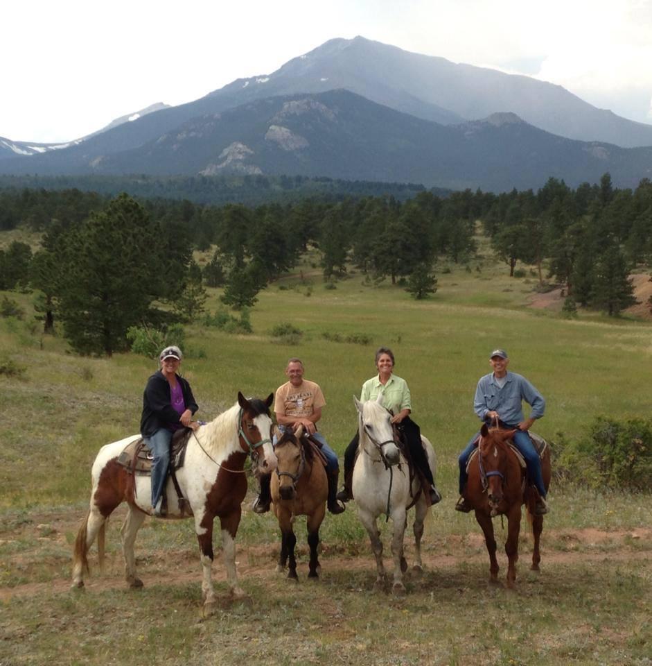 Guided Horseback Riding Tours - Ocala,FL photo 1