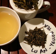 Lu An from La Septième Tasse