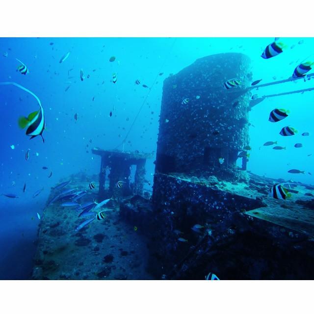 2 Tank Shipwreck and Reef Dives - Waikiki photo 3
