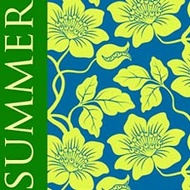4 Seasons: Summer from Adagio Custom Blends