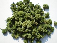 2009 Yunnan Imperial Pseudo-ginseng(Tian Qi) Flower from JK Tea Shop