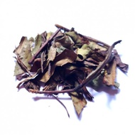 The Silver Wolf from Thésaurus Tea