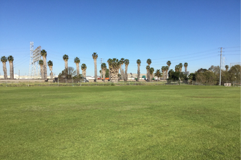 Field - B