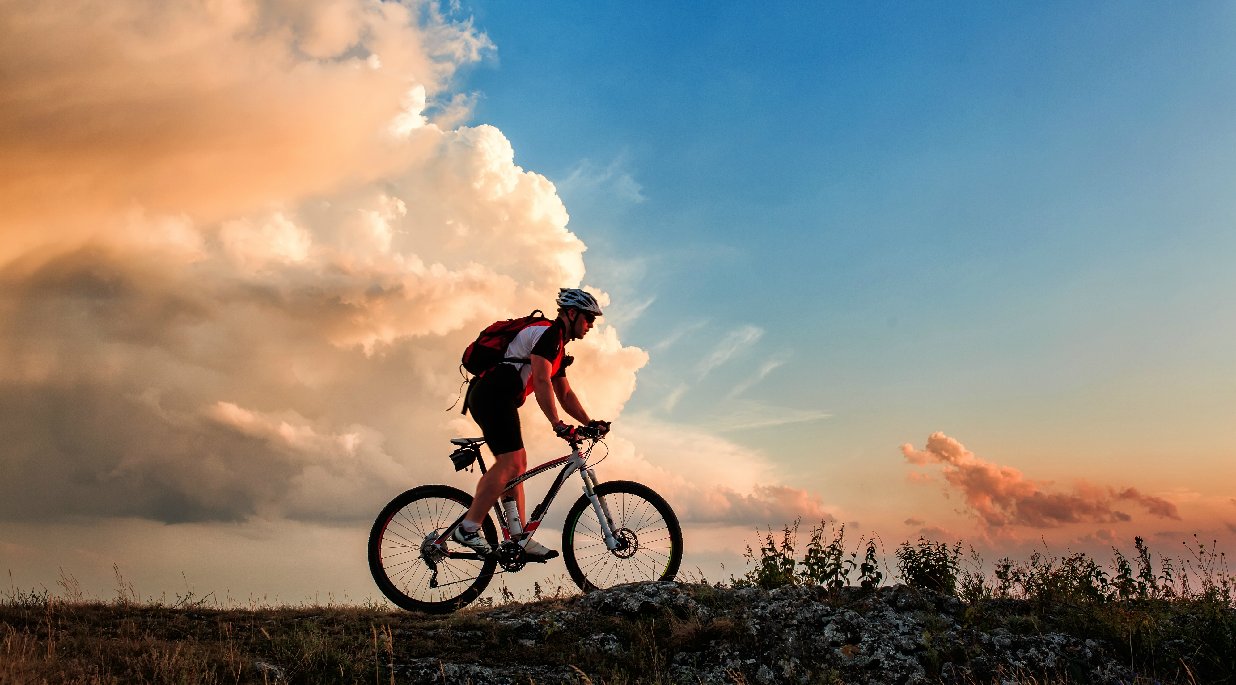 Guided Bike & Brew Tour From Anchorage Book Tours & Activities at