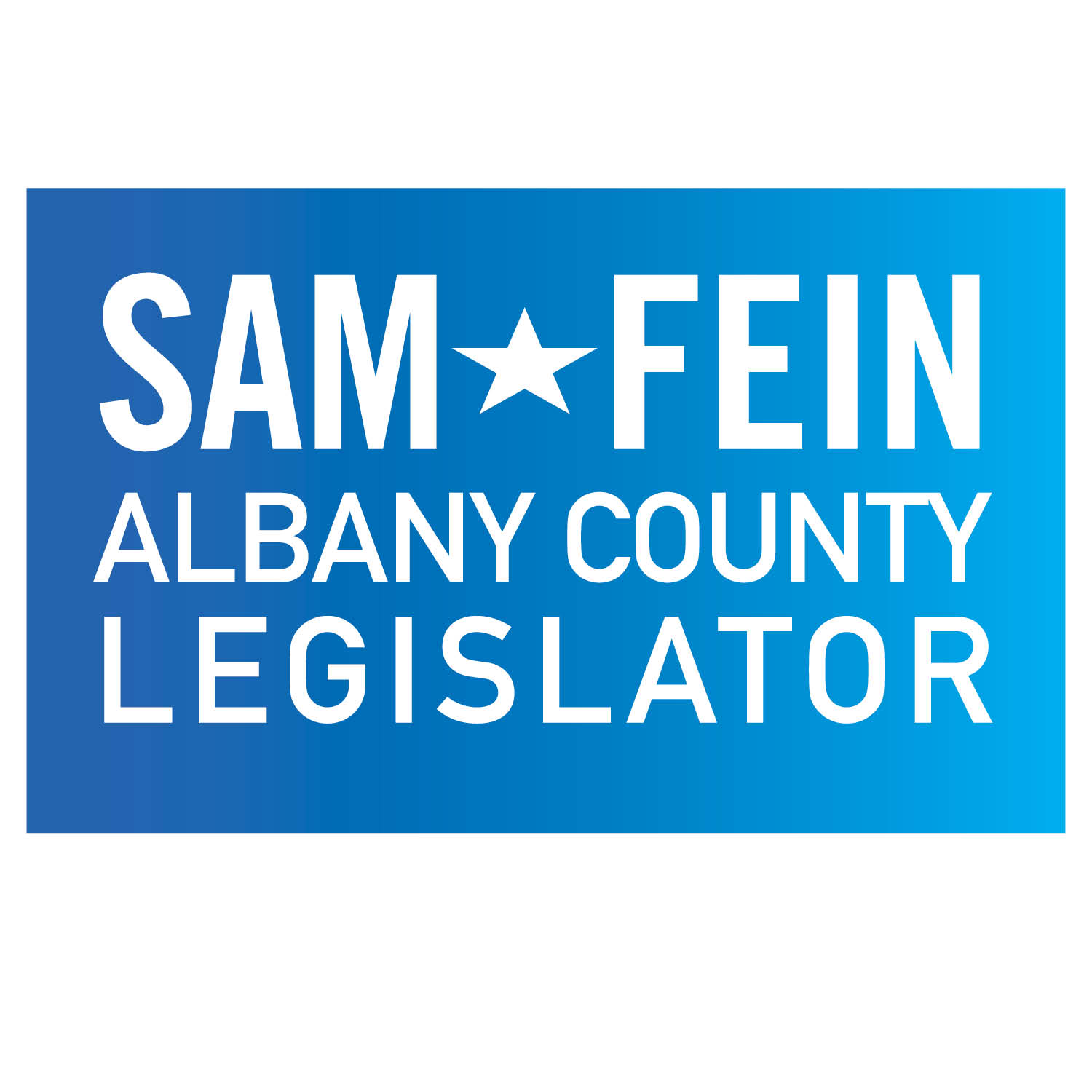 Friends of Sam Fein logo