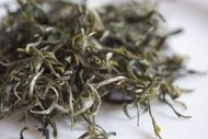 Early Bird 2025 Spring Simao Organic Green Tea from Bitterleaf Teas