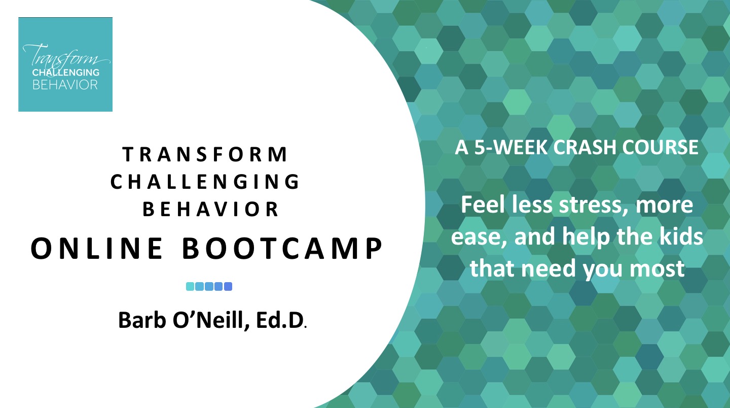 Transform Challenging Behavior Online Bootcamp | Transform Challenging