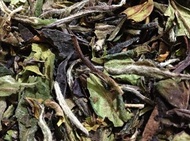 White Peony (Bai Mu Dan) from Tea Horse