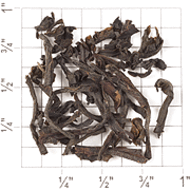 Frances Bissell's Special Blend from Upton Tea Imports