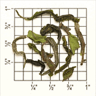 North Tukvar Estate 1st Fl Darjeeling SFTGFOP1 (DJ-24) TD63 from Upton Tea Imports