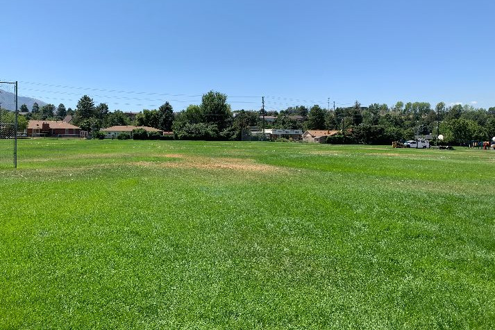 Fields