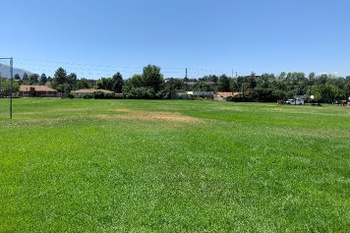 Fields