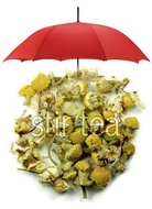Chamomile Flower from Stir Tea