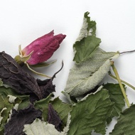 La Rose Pourpre from Camellia Sinensis