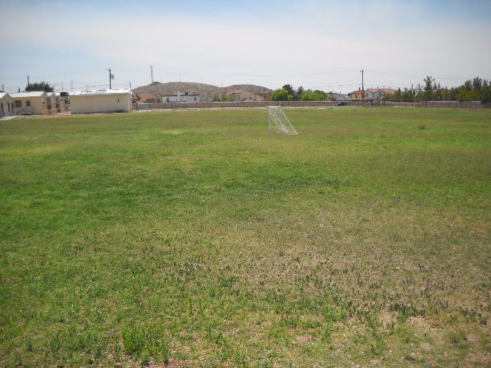 Playfield