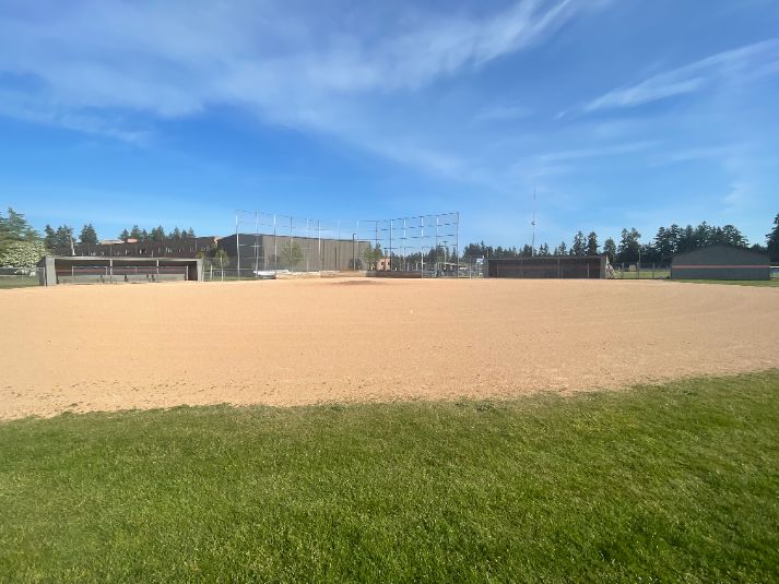 Baseball Field Grass