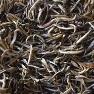 Fujian Silver Needle from O5 Tea