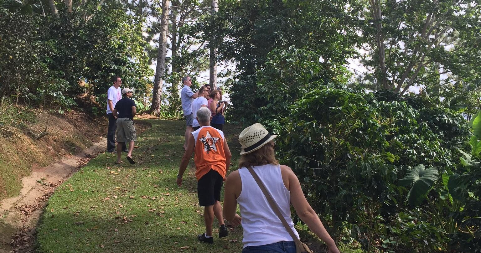 Semi-Private Coffee Plantation Tour ☕️ tour photo 4
