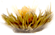 London Fog from Primula Tea