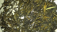 Song Zhen from Premium Steap