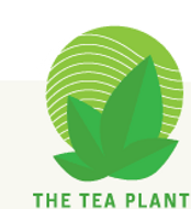 Raspberry Melody from The Tea Plant