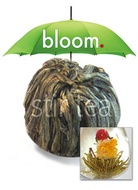 Flowering Tea - Shooting Star from Stir Tea